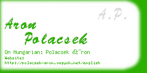 aron polacsek business card